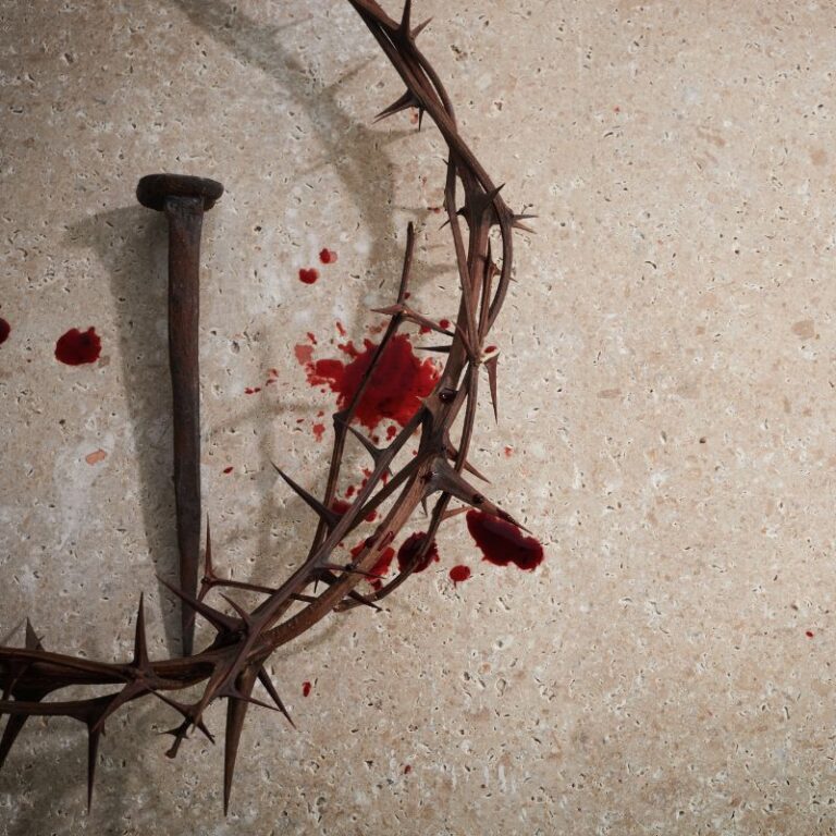 The Blood Of The Lamb